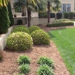 Pet Friendly Mulch