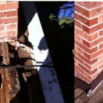 Before and After