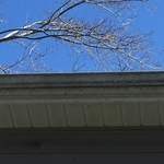 dirty gutter
