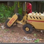 Stump Grinding