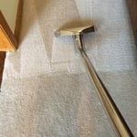 https://www.facebook.com/MightyBlueCarpetCleaning