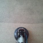 Carpet Cleaning