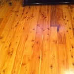 Australian Cypress