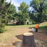 Tree Service Project