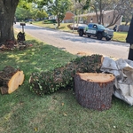 Tree Service Project