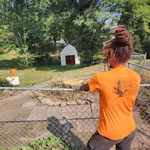 Tree Service Project