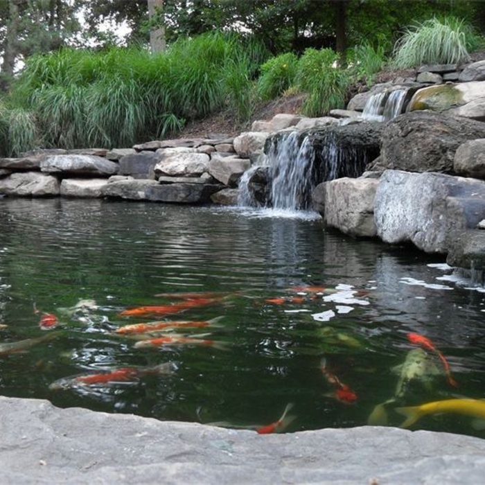 Large Koi pond and Waterfall Vienna, VA