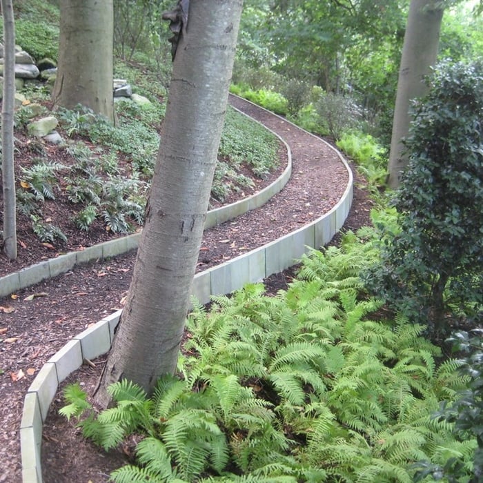 Woodland Walk