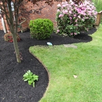 Mulching and Landscaping