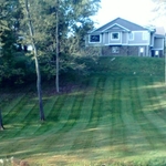 Grass Cutting