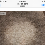 Restoration of very dirty area rug! Had a very bad odor cleaned to look brand new!