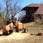 Stump grinder