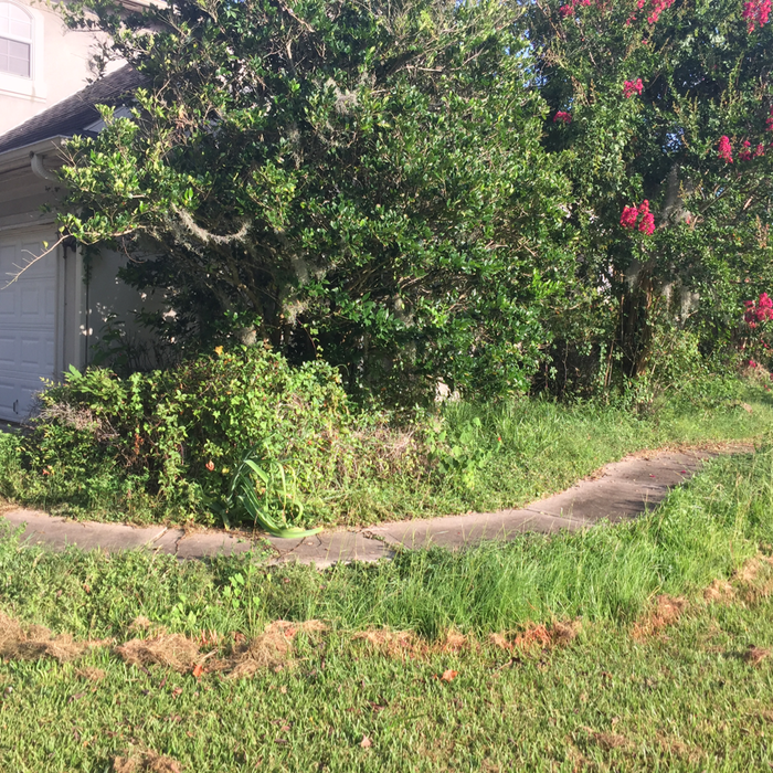 Additional Photos