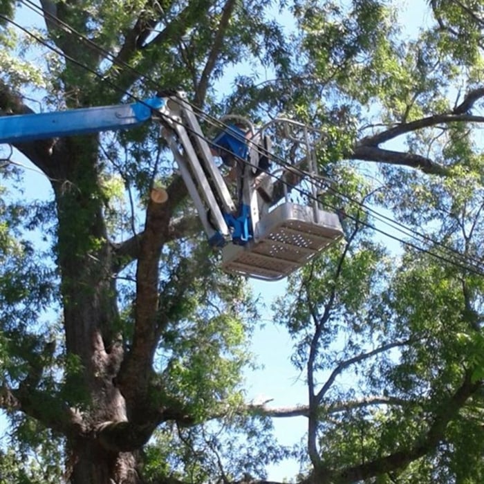 Additional Photos