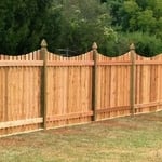 Cedar Fence