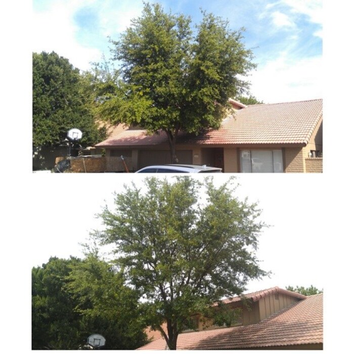 Additional Photos