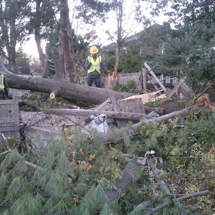 Additional Photos