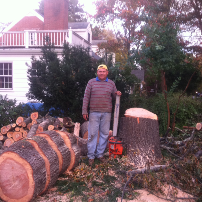 Additional Photos