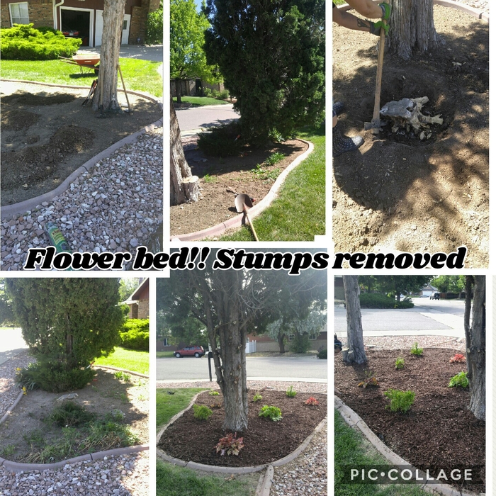 Additional Photos