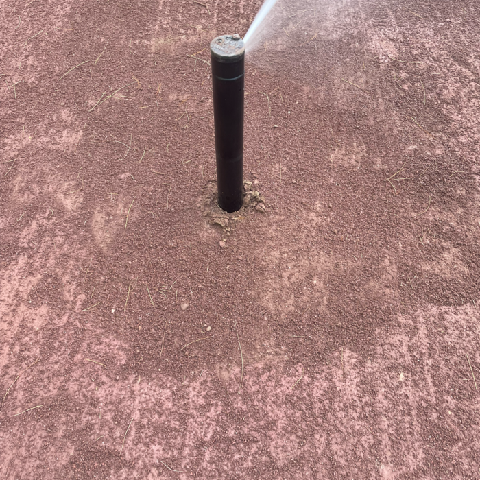 Additional Photos