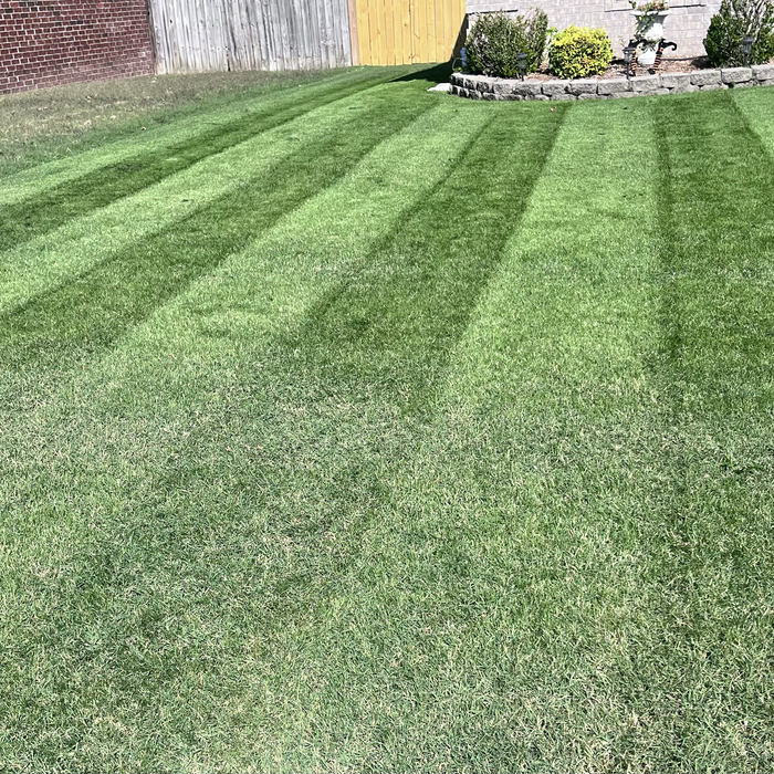 Additional Photos