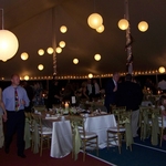 Specialty Lighting