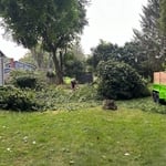 Tree Service Project
