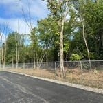 Tree Service Project