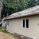 Before Metal Roof Cleaning