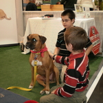 My Boxer, Sweetie Pie at Home & Garden Expo