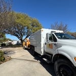 Tree Trimming