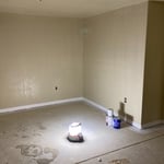 Drywall paint