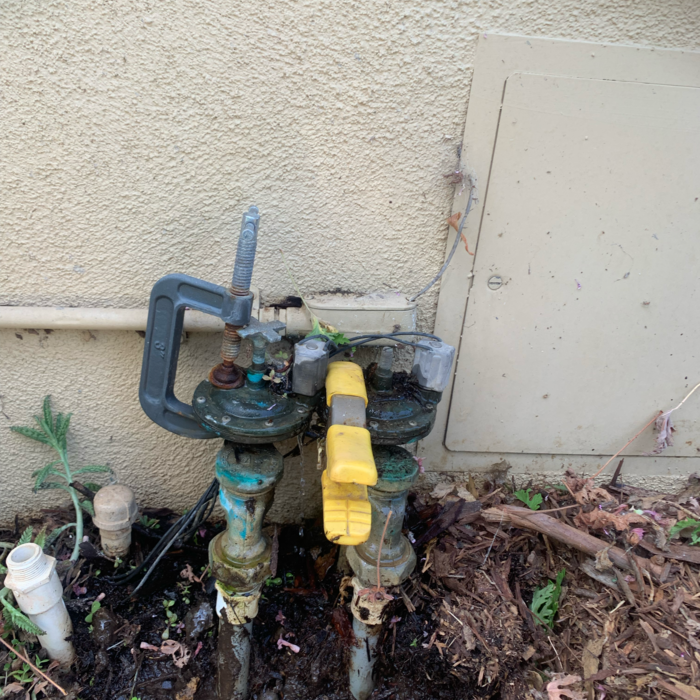 Additional Photos