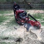 Stump removal