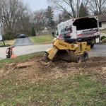 Stump grinding
