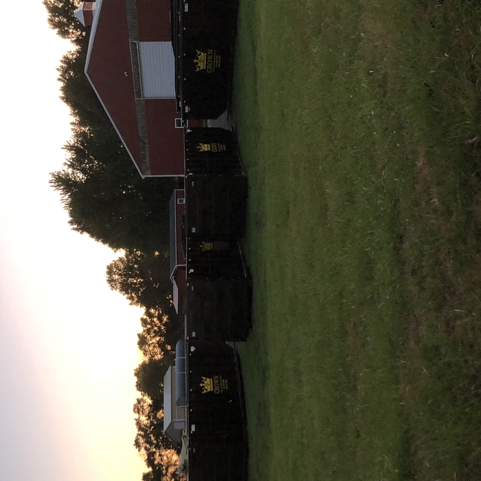 Additional Photos