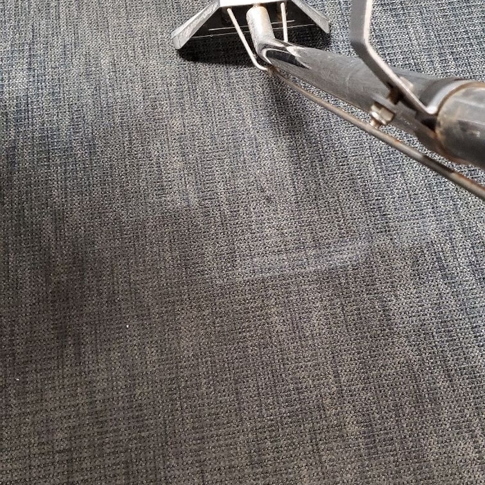 Carpet Cleaning Project