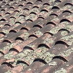 Roof cleaning