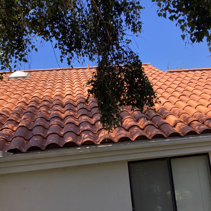 Roof cleaning