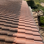 Roof cleaning