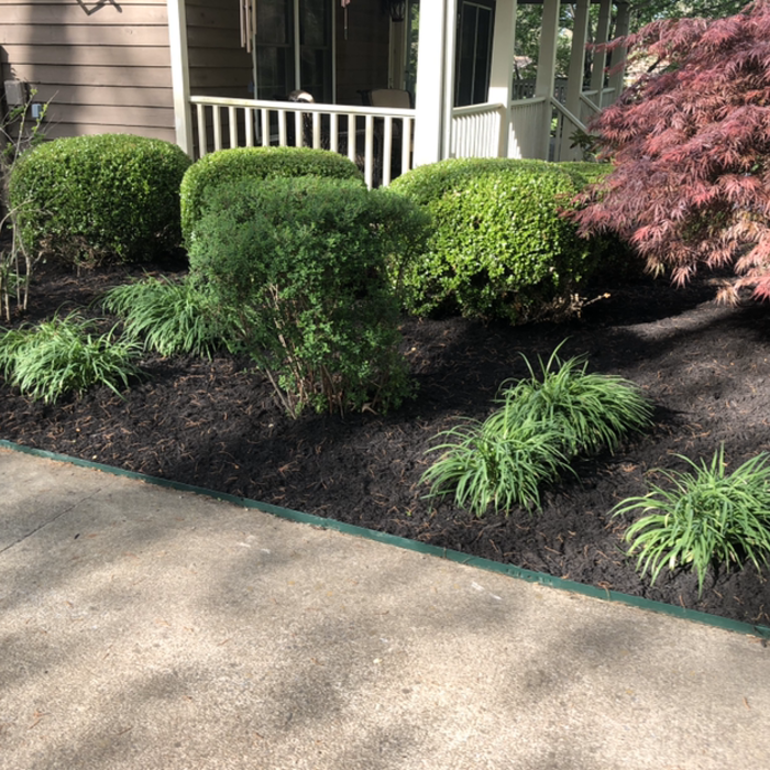 Additional Photos