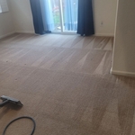 Carpet Cleaning