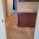 Carpet Cleaning