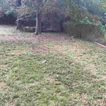 Lawn care