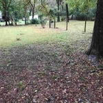 Lawn care