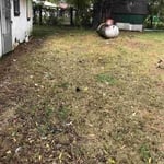 Lawn care