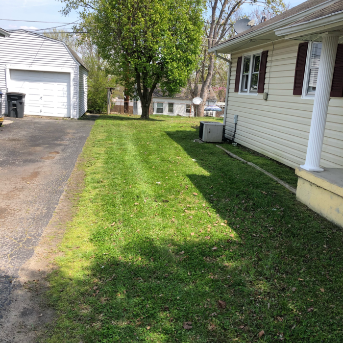 Additional Photos