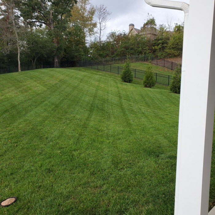 Additional Photos