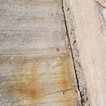 Dads patio