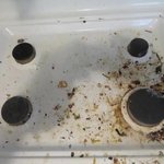 Housecleaning Project